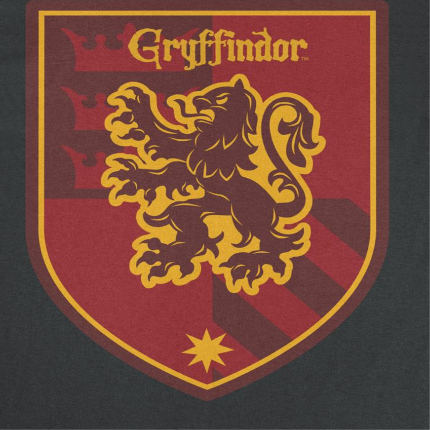 Harry Potter Griffindor Emblem Black T-Shirt